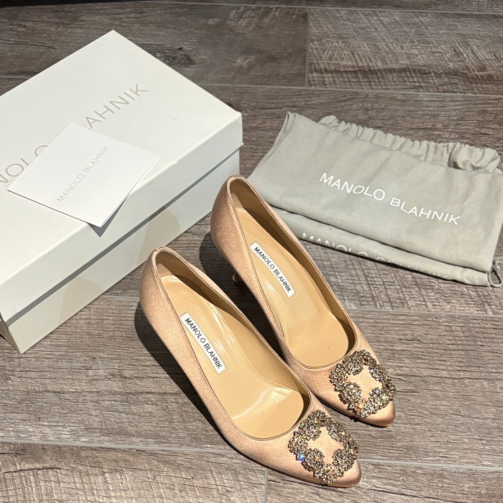 Manolo Blahnik Hangisi Heels 70